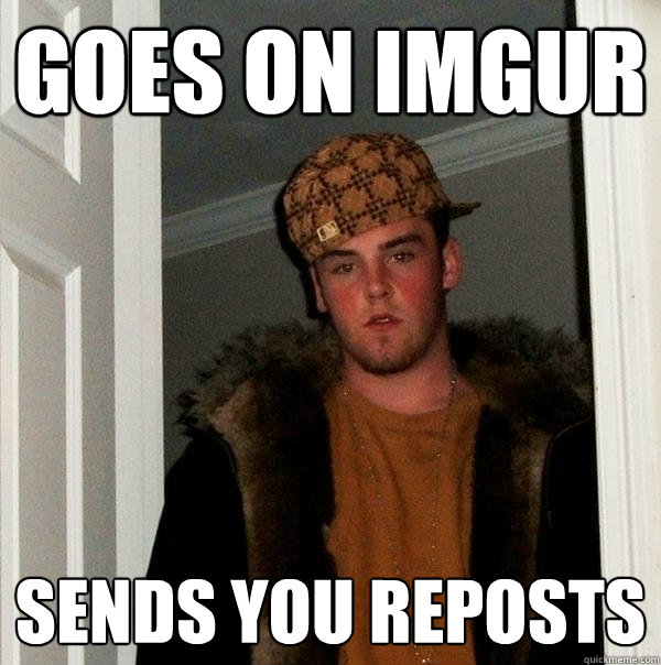 GOES ON IMGUR SENDS YOU REPOSTS  Scumbag Steve