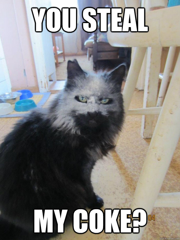 you steal my coke? Flour cat quickmeme