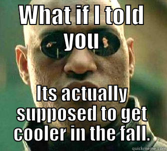 WHAT IF I TOLD YOU ITS ACTUALLY SUPPOSED TO GET COOLER IN THE FALL. Matrix Morpheus