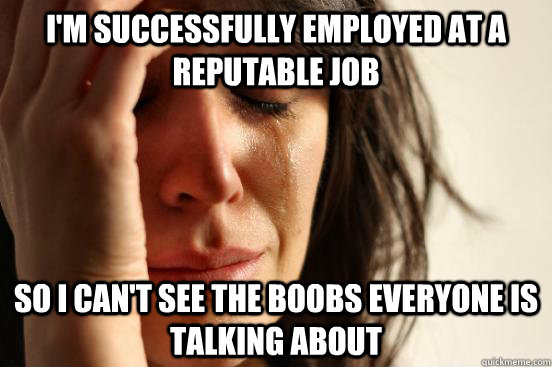 I'm successfully employed at a reputable job So i can't see the boobs everyone is talking about  First World Problems