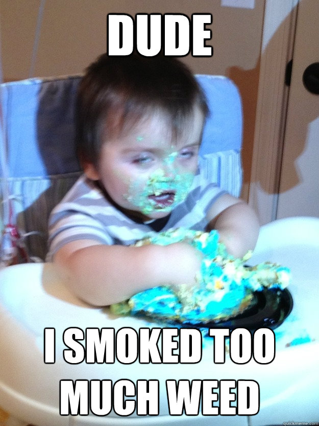 Dude i smoked too much weed - Dude i smoked too much weed  Munchies Kid