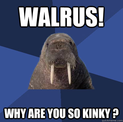 WALRUS! Why are you so kinky ?  Web Developer Walrus
