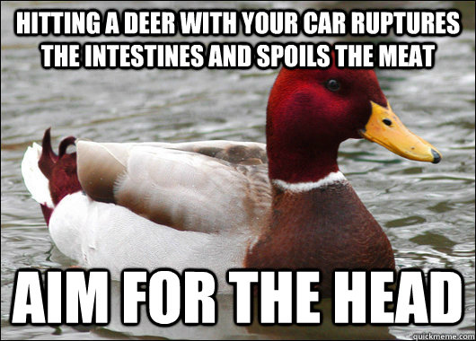 Hitting a deer with your car ruptures the intestines and spoils the meat aim for the head  Malicious Advice Mallard