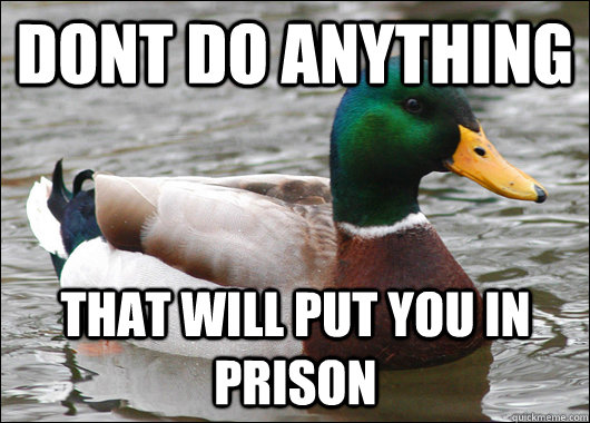 Dont do anything that will put you in prison  Actual Advice Mallard