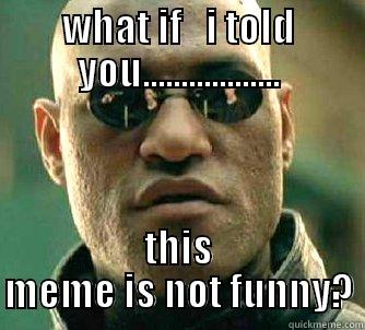 WHAT IF   I TOLD YOU.................. THIS MEME IS NOT FUNNY? Matrix Morpheus