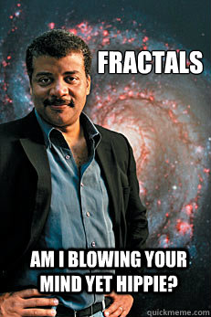 fractals am i blowing your mind yet hippie?  Neil deGrasse Tyson