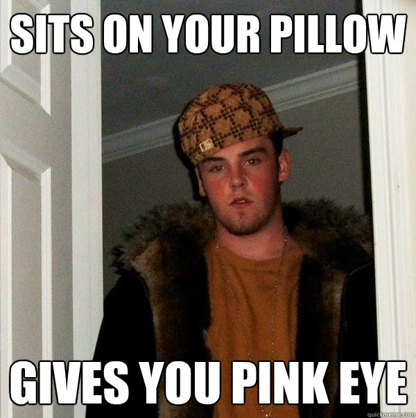 Sits on your pillow gives you pink eye  Scumbag Steve