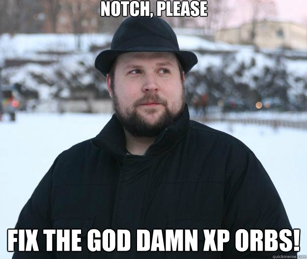 Notch, Please Fix the god damn XP Orbs!  Advice Notch