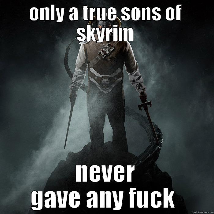 ONLY A TRUE SONS OF SKYRIM NEVER GAVE ANY FUCK  Misc