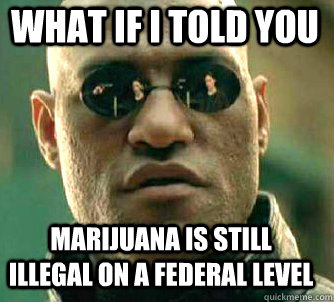 what if i told you Marijuana is still illegal on a federal level  Matrix Morpheus