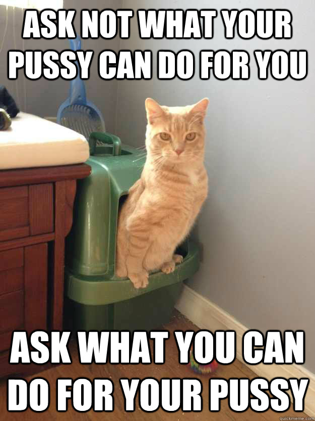 ask not what your pussy can do for you ask what you can do for your pussy  cat pooping