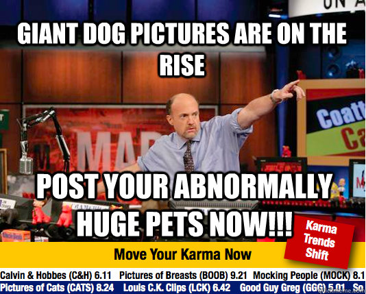 Giant dog pictures are on the rise post your abnormally huge pets now!!!  Mad Karma with Jim Cramer