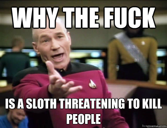 why the fuck is a sloth threatening to kill people  Annoyed Picard HD