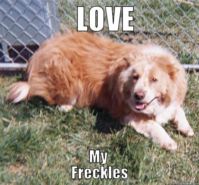 Love My Freckles -    LOVE MY                       FRECKLES                      Misc