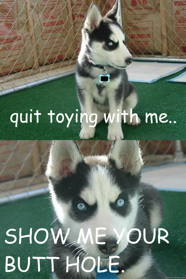 quit toying with me.. SHOW ME YOUR BUTT HOLE.  Insanity puppy