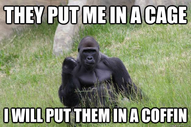 They put me in a cage I will put them in a coffin - They put me in a cage I will put them in a coffin  Swearing Vengeance Gorilla
