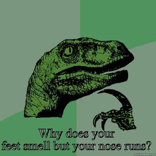  WHY DOES YOUR FEET SMELL BUT YOUR NOSE RUNS? Philosoraptor