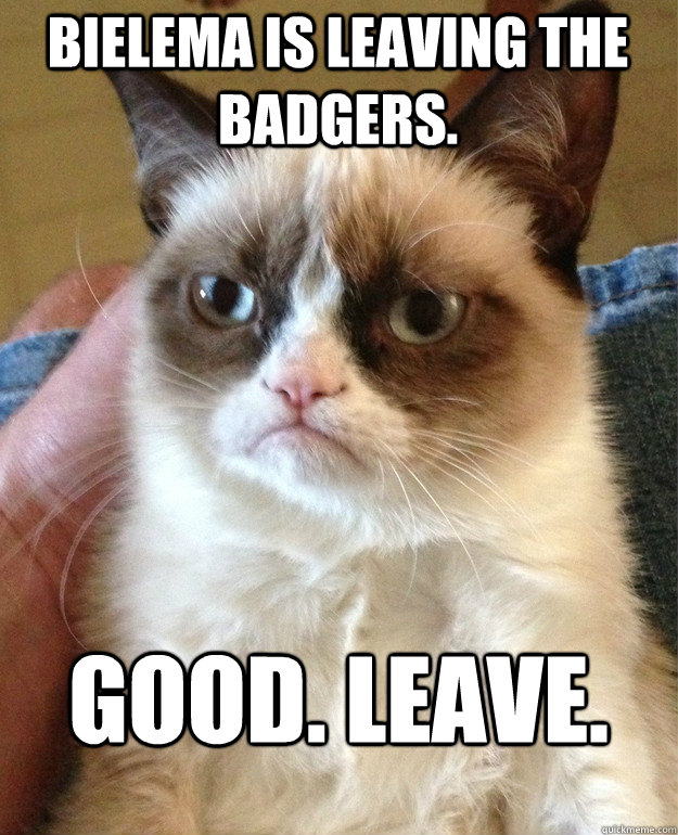 Bielema is leaving the Badgers. Good. Leave.  Grumpy Cat