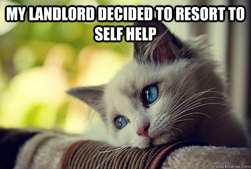 MY LANDLORD DECIDED TO RESORT TO SELF HELP   First World Problems Cat