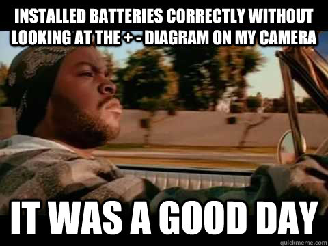Installed batteries correctly without looking at the + - diagram on my camera it was a good day  Good day cube