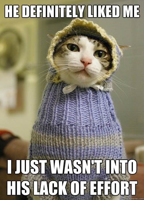 he definitely liked me i just wasn't into his lack of effort  Spinster Cat