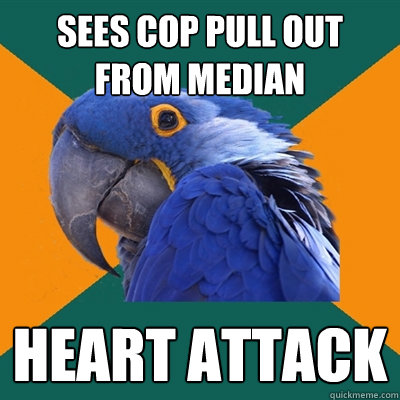 sees cop pull out from median heart attack  Paranoid Parrot