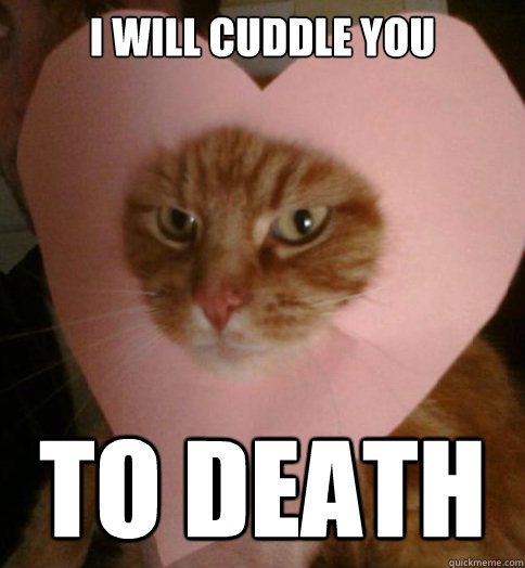 I will cuddle you TO DEATH - I will cuddle you TO DEATH  Valentine Cat