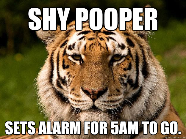 shy pooper sets alarm for 5am to go.  - shy pooper sets alarm for 5am to go.   Typical College Student Tiger