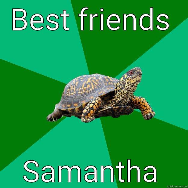 Turtle love - BEST FRIENDS SAMANTHA Torrenting Turtle