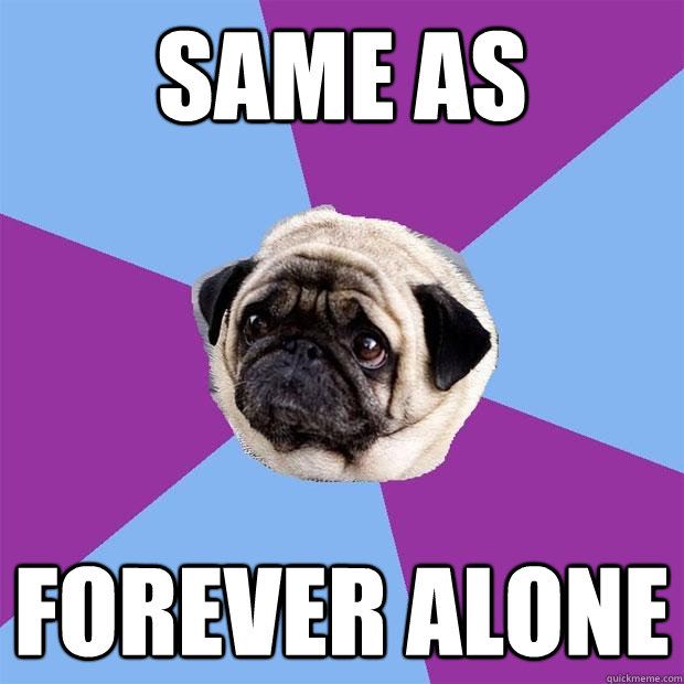 same as forever alone  Lonely Pug