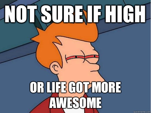 Not sure if high Or life got more awesome - Not sure if high Or life got more awesome  High Fry