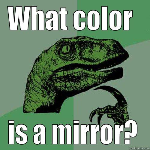 WHAT COLOR  IS A MIRROR? Philosoraptor