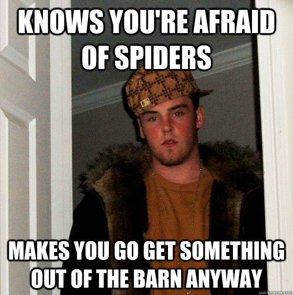 knows you're afraid of spiders makes you go get something out of the barn anyway - knows you're afraid of spiders makes you go get something out of the barn anyway  Scumbag Steve