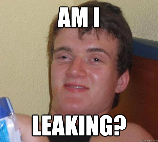 AM I leaking? - AM I leaking?  10 Guy