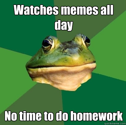 Watches memes all day No time to do homework  Foul Bachelor Frog