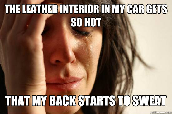 The leather interior in my car gets so hot
 that my back starts to sweat   First World Problems
