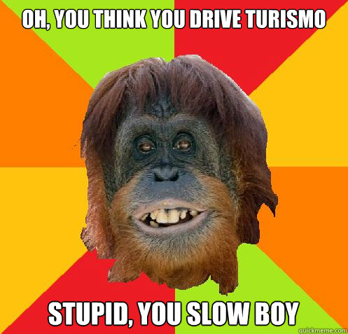 Oh, you think you drive turismo stupid, you slow boy  Culturally Oblivious Orangutan