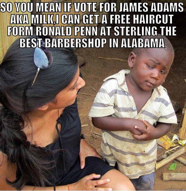 SO YOU MEAN IF VOTE FOR JAMES ADAMS AKA MILK,I CAN GET A FREE HAIRCUT FORM RONALD PENN AT STERLING THE BEST BARBERSHOP IN ALABAMA  Skeptical Third World Kid