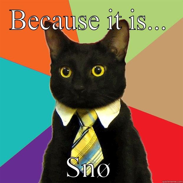 BECAUSE IT IS... SNØ Business Cat
