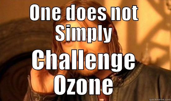 ONE DOES NOT SIMPLY CHALLENGE OZONE Boromir