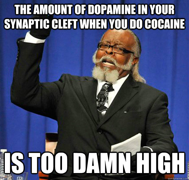 The amount of dopamine in your synaptic cleft when you do cocaine Is too damn high  Jimmy McMillan