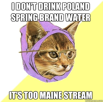 I Don't Drink poland spring brand water It's too maine stream - I Don't Drink poland spring brand water It's too maine stream  Hipster Kitty