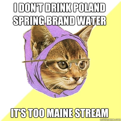 I Don't Drink poland spring brand water It's too maine stream  Hipster Kitty