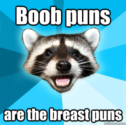 Boob puns are the breast puns - Boob puns are the breast puns  Lame Pun Coon
