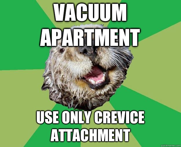 Vacuum apartment Use only crevice attachment  OCD Otter