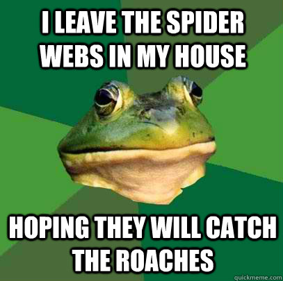 I leave the spider webs in my house Hoping they will catch the roaches  Foul Bachelor Frog