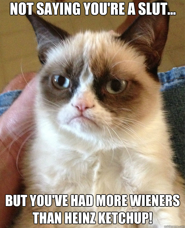 not saying you're a slut... but You've had more wieners than Heinz Ketchup! - not saying you're a slut... but You've had more wieners than Heinz Ketchup!  Misc