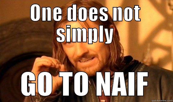 ONE DOES NOT SIMPLY GO TO NAIF One Does Not Simply