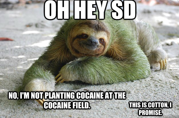 Oh hey SD No, I'm not planting cocaine at the cocaine field. This is cotton, I promise.  Sloth Pun Sloth