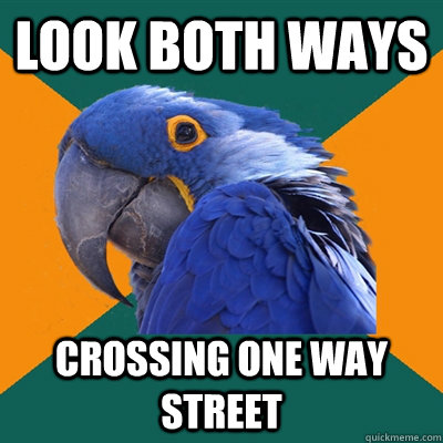 Look both ways Crossing one way street - Look both ways Crossing one way street  Paranoid Parrot